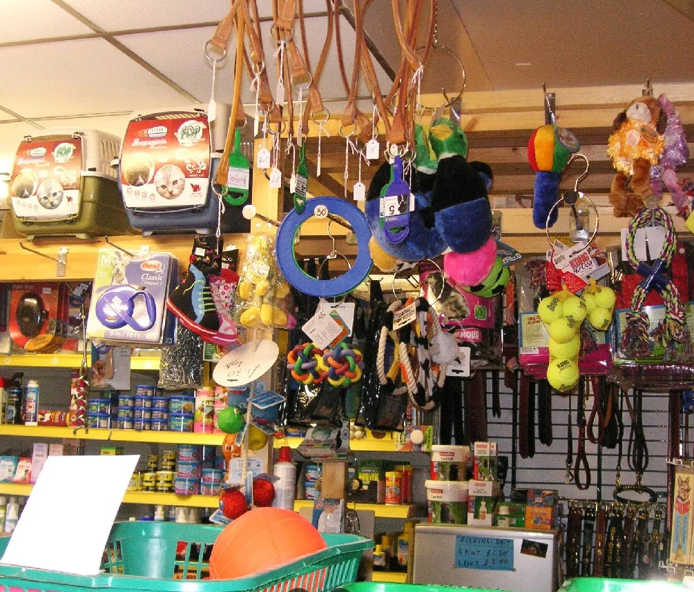 Pet Store Interior